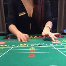 n19 com bet