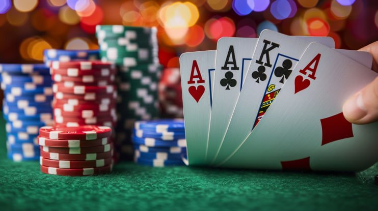 n19 com bet